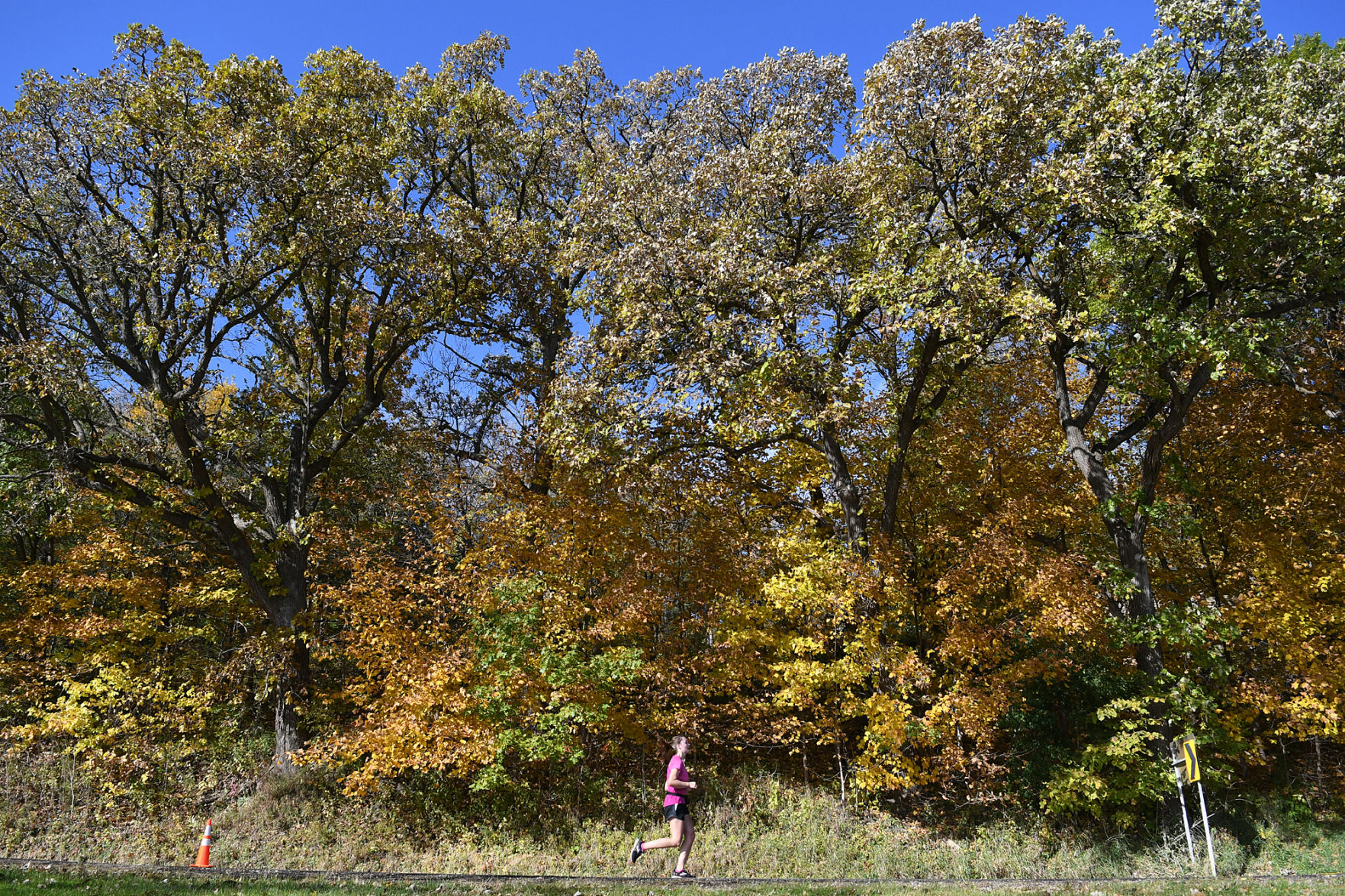 Mankato Marathon Main
